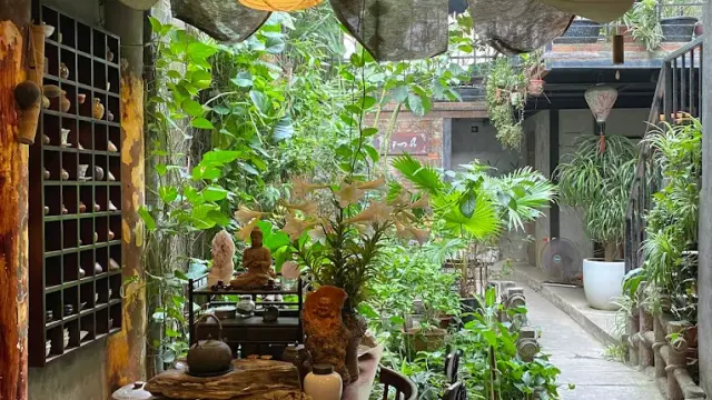 Top 10 Quán Trà Đạo Ở Hà Nội Yên Tĩnh, Đáng Trải Nghiệm