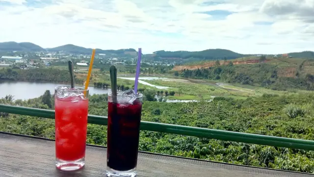 Me Linh Coffee Garden - hình ảnh 2
