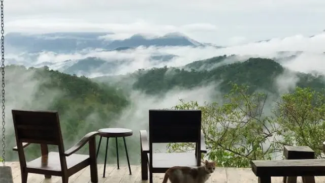 Top 10 Quán Cà Phê Ngắm View Đẹp Tại Đà Lạt Đáng Trải Nghiệm
